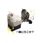 エレンとわさび（個別スタンプ：5）