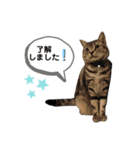 エレンとわさび（個別スタンプ：8）