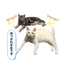エレンとわさび（個別スタンプ：9）
