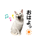 エレンとわさび（個別スタンプ：11）