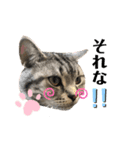 エレンとわさび（個別スタンプ：12）