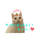 エレンとわさび（個別スタンプ：19）