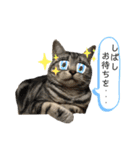 エレンとわさび（個別スタンプ：20）