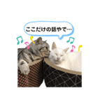 エレンとわさび（個別スタンプ：22）