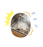 jmatgntdat（個別スタンプ：3）