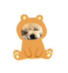 jmatgntdat（個別スタンプ：5）