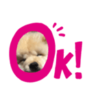 jmatgntdat（個別スタンプ：6）