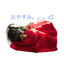 こてつさぁん（個別スタンプ：1）
