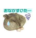 おにぎりまるぷーすけ①（個別スタンプ：8）
