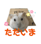 おにぎりまるぷーすけ①（個別スタンプ：9）