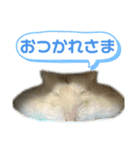 おにぎりまるぷーすけ①（個別スタンプ：10）
