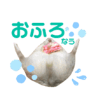 おにぎりまるぷーすけ①（個別スタンプ：11）