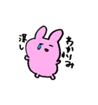 うさぎとねこ ゆるふわ（個別スタンプ：5）