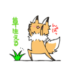 キツネのおあげ時々くま〜ソシャゲ編〜（個別スタンプ：29）