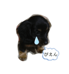 ぴーちゃんのさくらと仲間たち（個別スタンプ：3）