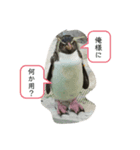 ぴーちゃんのさくらと仲間たち（個別スタンプ：6）