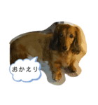 ぴーちゃんのさくらと仲間たち（個別スタンプ：8）