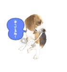 むぎ子のスタンプ（個別スタンプ：9）