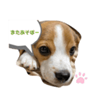 むぎ子のスタンプ（個別スタンプ：19）