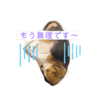 むぎ子のスタンプ（個別スタンプ：34）