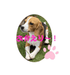 むぎ子のスタンプ（個別スタンプ：38）