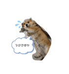 チェリー❤️（個別スタンプ：4）