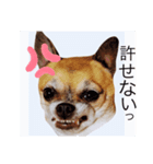 ブサイクだっていいじゃないの（個別スタンプ：8）