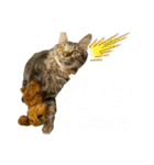 ねこのチューイくん。（個別スタンプ：11）