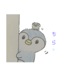 ゆるっとぺんぎんの日常（個別スタンプ：5）