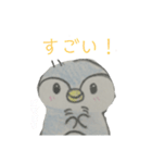 ゆるっとぺんぎんの日常（個別スタンプ：9）