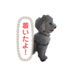 我が家のもふもふ③（個別スタンプ：3）