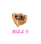 チョコタンもずく おはよう編（個別スタンプ：11）