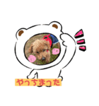 ミモザファミリー日常（個別スタンプ：1）