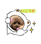 ミモザファミリー日常（個別スタンプ：2）