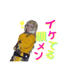 黒潮優③（個別スタンプ：22）