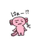 うぱきち。（個別スタンプ：2）