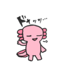 うぱきち。（個別スタンプ：6）