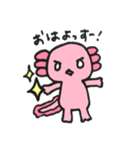 うぱきち。（個別スタンプ：8）