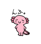 うぱきち。（個別スタンプ：13）