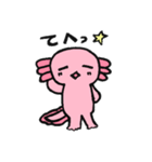 うぱきち。（個別スタンプ：14）