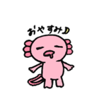 うぱきち。（個別スタンプ：19）