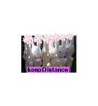 らびくまちゃん〜癒しの挨拶スタンプ〜（個別スタンプ：1）