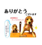 みるセブスタンプ②（個別スタンプ：6）
