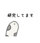 研究者のためのチンアナゴたち（個別スタンプ：1）