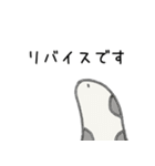 研究者のためのチンアナゴたち（個別スタンプ：5）