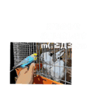 マニアック(笑)（個別スタンプ：2）