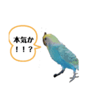マニアック(笑)（個別スタンプ：9）