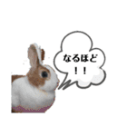マニアック(笑)（個別スタンプ：11）