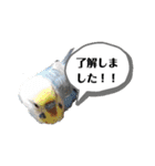 マニアック(笑)（個別スタンプ：12）