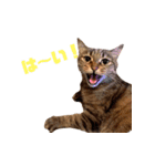 ソラとレオン（個別スタンプ：14）